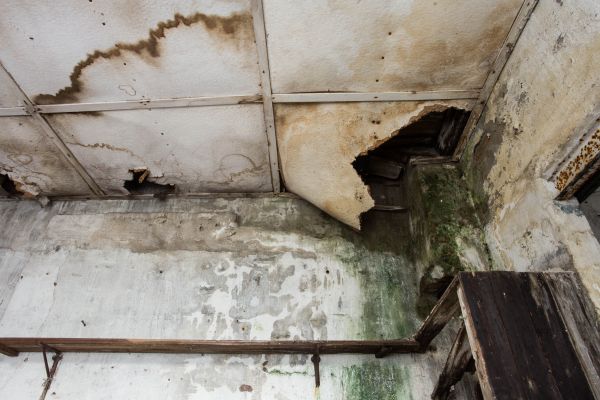 Water Damage Service in Katy