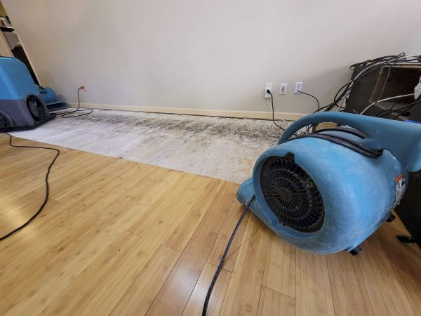 Water Damage Mitigation in Katy
