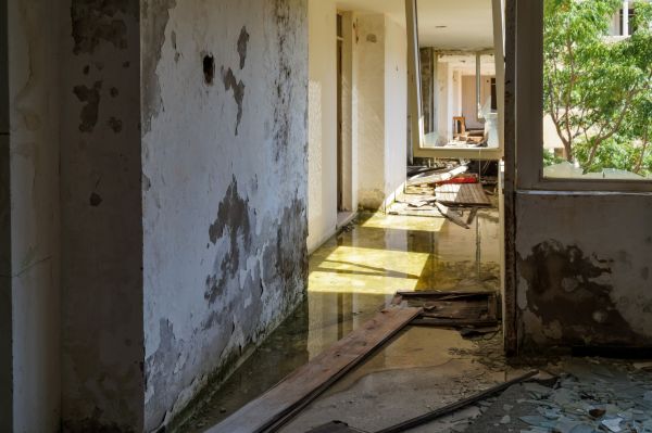 Cost of Water Removal Service in Katy