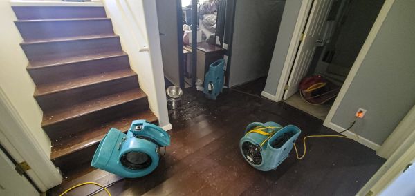 Water Damage Remediation in Katy