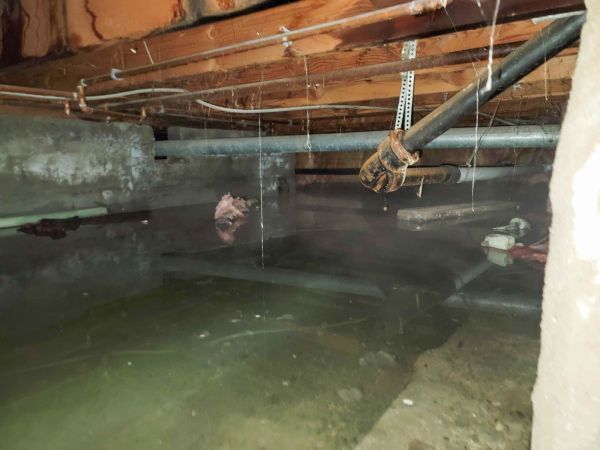 Water Mitigation Service in Katy