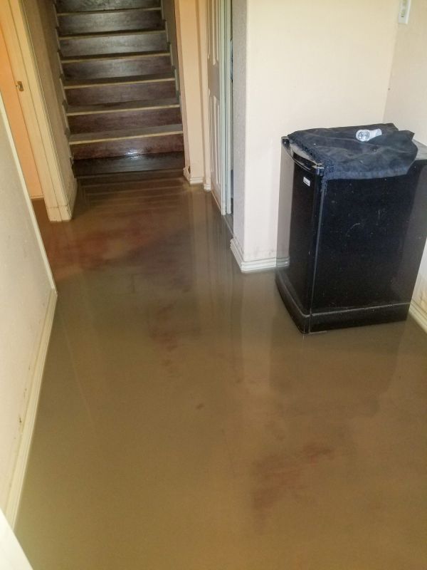 Basement Water Cleanup detail